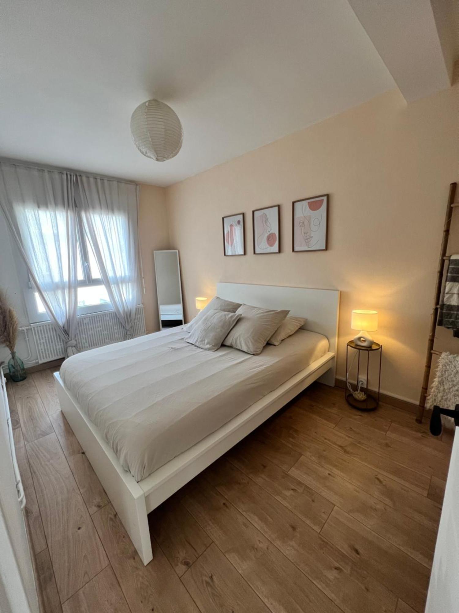 Апартаменты Le Bellevue - T3 - Gare & Les Jardins Darcy - Parking Free Дижон Экстерьер фото
